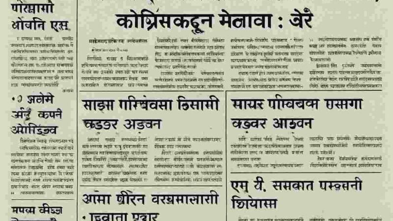 Punyanagari Newspaper: A Cultural Chronicle